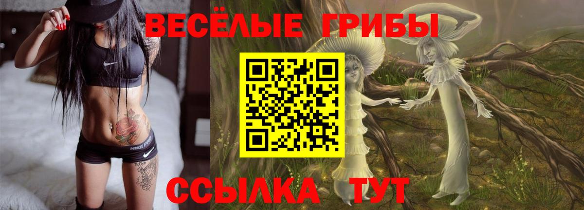 Кропоткин  Галлюциногенные грибы MAGIC MUSHROOMS  Вход с VPN 